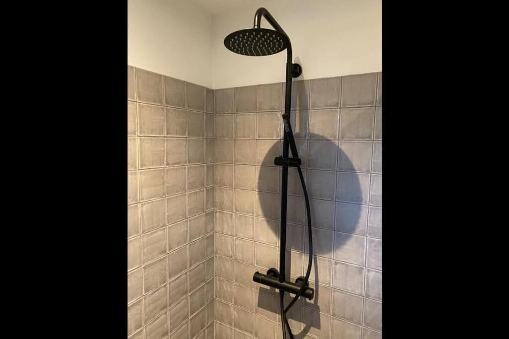 Apartment Stijlvol Met Veranda! Tuynloodz A